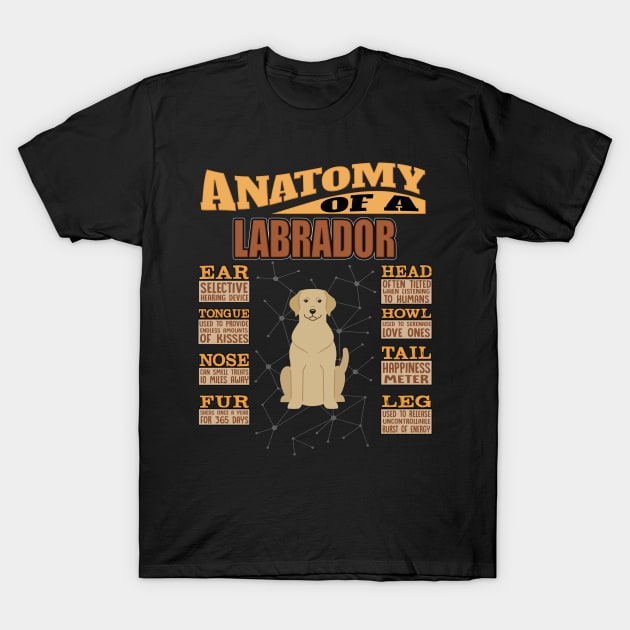 Anatomy Of A Labrador Retriever - Labrador Retriever Labrador,Lab,Golden Hair, T-Shirt by HarrietsDogGifts